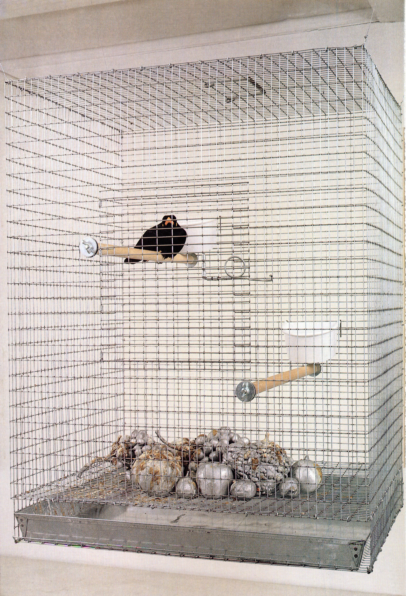 Michele Chiossi Natura Morta!, 1997 fusione in alluminio, gabbia, merlo indiano ammaestrato dimensioni variabili scultura patina composizione orientalismo